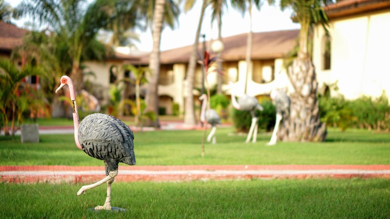 Ocean Bay Hotel & Resort Bakau 외부 사진